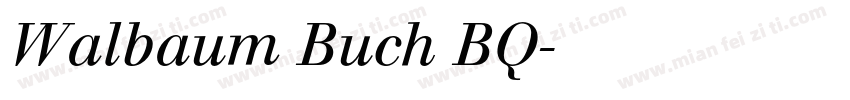 Walbaum Buch BQ字体转换